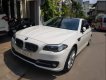 BMW 5 Series  520i 2016 - Bán xe BMW 5 Series 520i đời 2016, màu trắng
