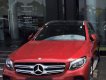 Mercedes-Benz GLC-Class GLC300 2018 - Bán ô tô Mercedes GLC300 năm 2018 mới, màu đỏ, giao xe toàn quốc