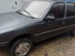 Peugeot 205   1990 - Bán Peugeot 205 đời 1990, màu xám, nhập khẩu còn mới