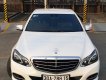 Mercedes-Benz E300 2014 - Bán Mercedes Benz E200 2014 trắng, nội thất nâu