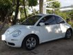 Volkswagen Beetle   1.6AT 2009 - Cần bán gấp Volkswagen Beetle 1.6AT năm 2009, màu trắng, nhập khẩu nguyên chiếc, 520tr