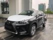 Lexus NX 300 2018 - Bán Lexus NX 300 năm sản xuất 2018, màu đen, xe nhập