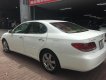 Lexus ES  330 2004 - Bán xe Lexus ES ES330 2004, màu trắng