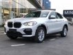 BMW X4 xDrive20i 2018 - Bán xe BMW X4 xDrive20i sản xuất 2018, màu trắng, nhập khẩu nguyên chiếc