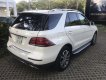 Mercedes-Benz GLE-Class GLE400 Exclusive 2017 - Đã qua sử dụng Mercedes GLE400 Exclusive cũ, lướt 10/2018 chính hãng, ưu đãi lớn. Giao ngay