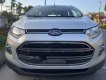 Ford EcoSport 2016 - Cần bán xe Ford EcoSport sản xuất năm 2016, màu bạc, giá tốt