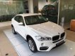 BMW X6 xDrive35i 2017 - Bán BMW X6 xDrive35i đời 2017, màu trắng, nhập khẩu