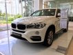 BMW X6 xDrive35i 2017 - Bán BMW X6 xDrive35i đời 2017, màu trắng, nhập khẩu