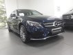 Mercedes-Benz C class 2017 - Bán Mercedes-Benz C300 cũ 2019, giá tốt nhất trong tháng