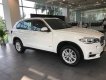 BMW X5 2018 - Bán xe BMW X5 giá tốt, giao xe ngay, hỗ trợ trả góp