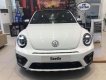 Volkswagen New Beetle 2018 - Volkswagen Beetle Dune nhập khẩu, hỗ trợ vay 80%