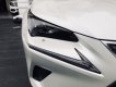 Lexus NX 300 2017 - Bán xe Lexus NX 300 2017 màu trắng