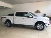 Ford F 150 Platinum 2019 - Giao ngay Ford F 150 Platinum 2019 xuất Mỹ, mới 100% 