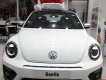 Volkswagen Beetle 2018 - Xe con bọ Volkswagen Beetle đời 2018, xe nhập Đức, khác biêt