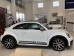 Volkswagen New Beetle 2018 - [VW Trần Hưng Đạo] giao ngay Beetle 2.0 đủ màu, nhập khẩu nguyên chiếc, hỗ trợ vay 80% với lãi suất thấp