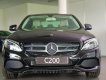 Mercedes-Benz C class C200 2018 - Cần bán Mercedes C200 sản xuất 2018, màu đen, nội thất đen, giao ngay chơi tết ở Phú Yên