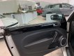 Volkswagen New Beetle 2018 - [VW Trần Hưng Đạo] giao ngay Beetle 2.0 đủ màu, nhập khẩu nguyên chiếc, hỗ trợ vay 80% với lãi suất thấp