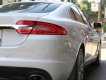 Jaguar XF 2014 - Jaguar XF màu trắng nội thất, da bò model 2014, đăng ký lần đâu 2016