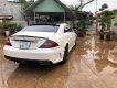 Mercedes-Benz CLS class CLS 350 2004 - Bán ô tô Mercedes CLS 350 đời 2004, màu trắng, nhập khẩu  