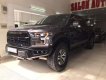 Ford F 150  Raptor  2017 - Bán ô tô Ford F 150 Raptor đời 2017, nhập khẩu