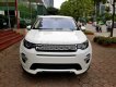 LandRover Discovery   Sport HSE   2016 - Bán LandRover Discovery Sport HSE Luxury, là phiên bản cao cấp
