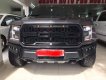 Ford F 150  Raptor  2017 - Bán ô tô Ford F 150 Raptor đời 2017, nhập khẩu