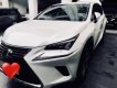 Lexus NX 300 2017 - Cần bán Lexus NX300 2018, nhập khẩu nguyên chiếc