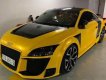 Audi TT 2009 - Cần bán xe Audi TT sản xuất 2009, màu vàng, xe nhập