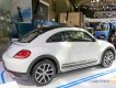 Volkswagen Beetle Dune  2018 - Bán Beetle Dune Beetle Dune, xe Đức nhập khẩu nguyên chiếc