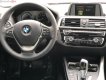 BMW 1 Series 118i 2018 - Bán xe BMW 1 Series 118i 2018, nhập khẩu