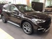 BMW X1 sDrive18i 2018 - Cần bán BMW X1 sDrive18i đời 2018, màu nâu, nhập khẩu