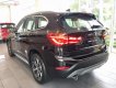 BMW X1 sDrive18i 2018 - Cần bán BMW X1 sDrive18i đời 2018, màu nâu, nhập khẩu