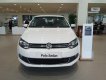 Volkswagen Polo 2018 - Cần bán Polo đời 2017, màu trắng nhập khẩu, 679tr