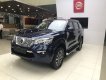 Nissan X Terra  MT 2019 - Bán xe Nissan X Terra sản xuất năm 2019, màu xanh lam, 980tr 