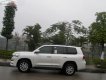 Toyota Land Cruiser VX 4.6 V8 2016 - Bán Toyota Land Cruiser VX 4.6 V8 sản xuất 2016, màu trắng, xe nhập