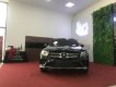 Mercedes-Benz GLC-Class GLC300 2018 - Bán Mercedes GLC300 New 2019, full màu, giá tốt giao ngay ưu đãi hấp dẫn - LH 0965075999