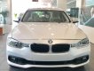 BMW 3 Series 320i  2017 - Cần bán BMW 320i năm sản xuất 2017, màu trắng, xe nhập