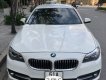 BMW 5 Series 520i LCI 2014 - Bán BMW 5 Series 520i LCI đời 2014, màu trắng, xe nhập