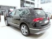 Volkswagen Tiguan 2.0 2019 - Cần bán Volkswagen Tiguan 2.0 năm 2019, màu đen 