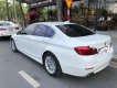 BMW 5 Series 520i LCI 2014 - Bán BMW 5 Series 520i LCI đời 2014, màu trắng, xe nhập