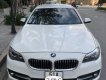 BMW 5 Series    520i  2015 - Bán xe BMW 520i Sx 2014, xe không đụng