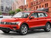 Volkswagen Tiguan 2018 - Bán xe Volkswagen Tiguan Allspace 2017 - 1 Tỷ 729 triệu