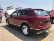 Volkswagen Tiguan 2018 - Bán xe Volkswagen Tiguan Allspace 2017 - 1 Tỷ 729 triệu