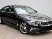 BMW 5 Series 530i Luxury 2018 - BMW 530i 2019, xe giao ngay trước Tết, giao toàn quốc