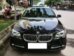 BMW 5 Series 520i 2016 - Bán ô tô BMW 5 Series 520i sản xuất 2016, 31000km, còn rất mới