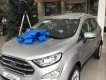 Ford EcoSport Ambiente MT 2018 - Bán Ford EcoSport Titanium năm 2018, màu bạc, giá tốt