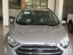 Ford EcoSport Ambiente MT 2018 - Bán Ford EcoSport Titanium năm 2018, màu bạc, giá tốt