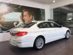 BMW 5 Series 530i 2019 - Cần bán xe BMW 5 Series 530i đời 2019, màu trắng, nhập khẩu nguyên chiếc