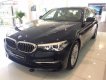 BMW 5 Series 520i 2019 - Cần bán BMW 5 Series 520i đời 2019, màu xanh lam, xe nhập