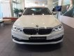 BMW 5 Series 530i 2019 - Cần bán xe BMW 5 Series 530i đời 2019, màu trắng, nhập khẩu nguyên chiếc